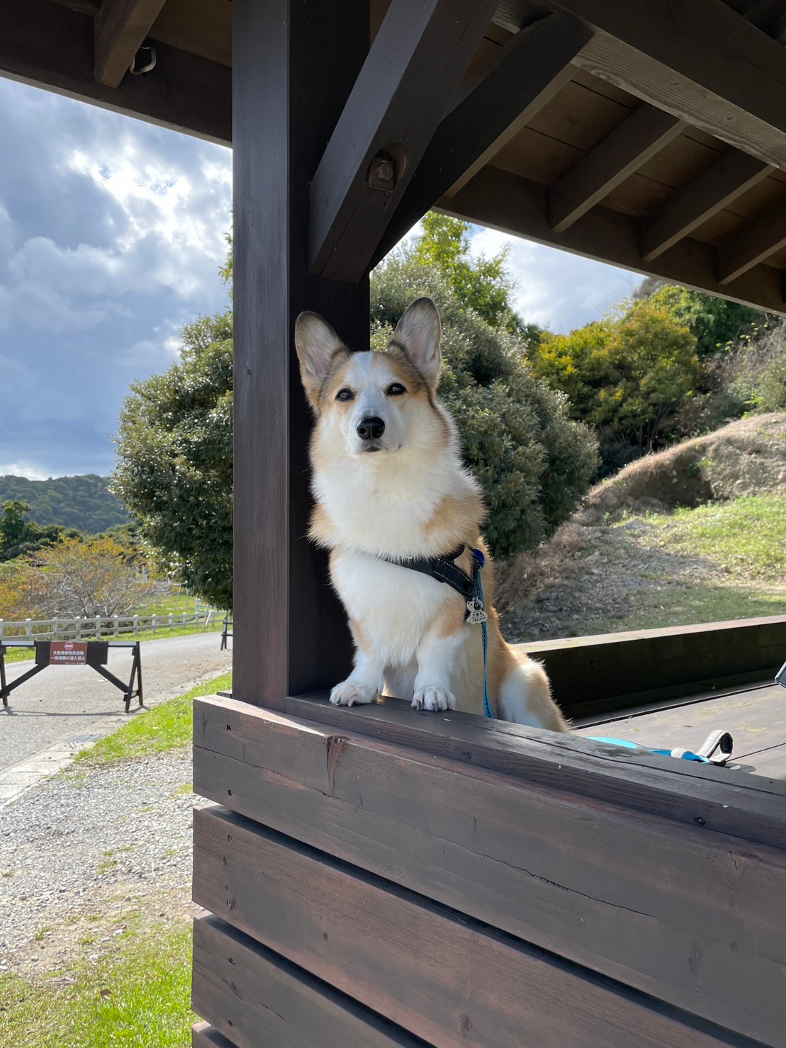 ク-パ-くん ♂ ク-パ-くん ♂