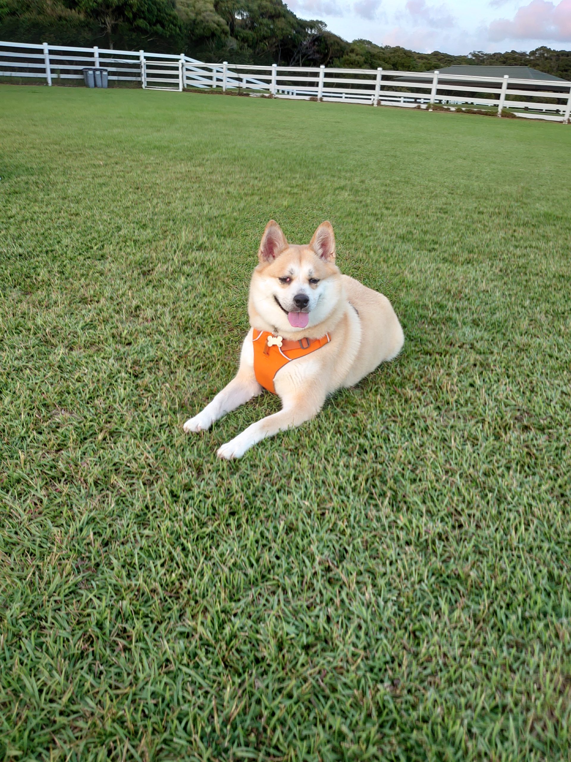 サチちゃん ♀ サチちゃん ♀