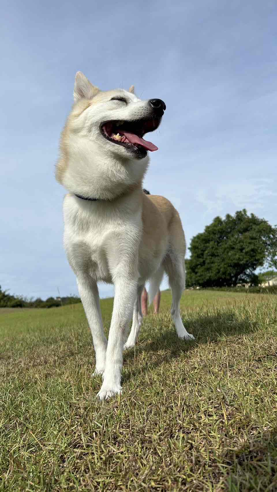 コ-くん ♂ コ-くん ♂