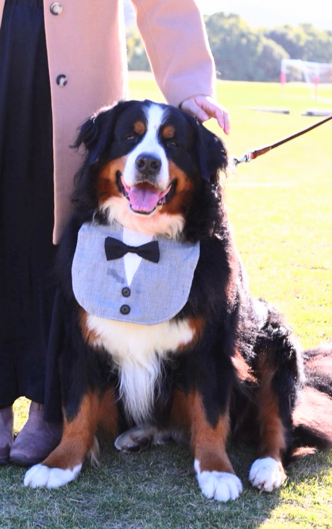 ランディくん♂ ランディくん♂