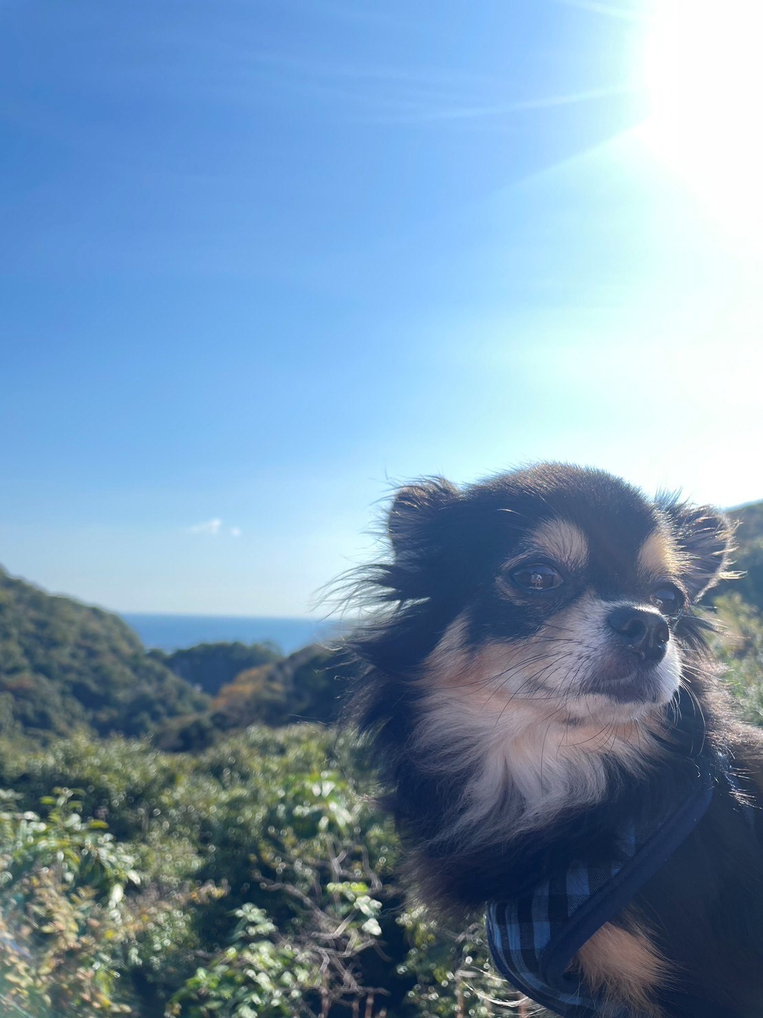 るるちゃん♀ るるちゃん♀