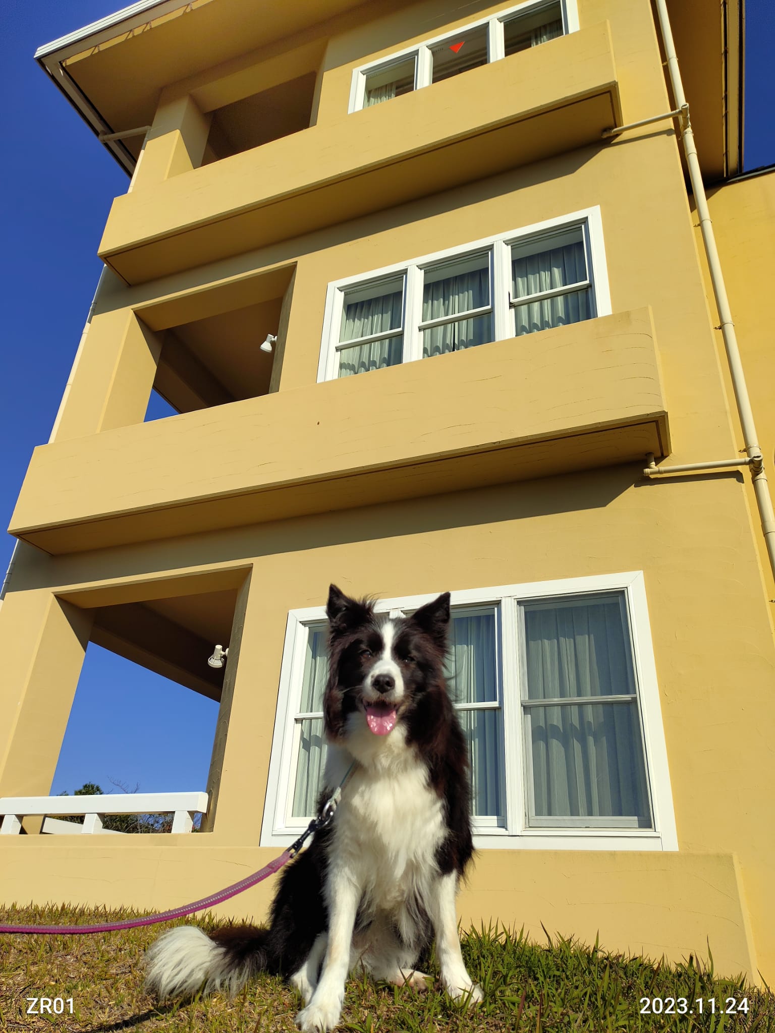 パンナちゃん♀ パンナちゃん♀