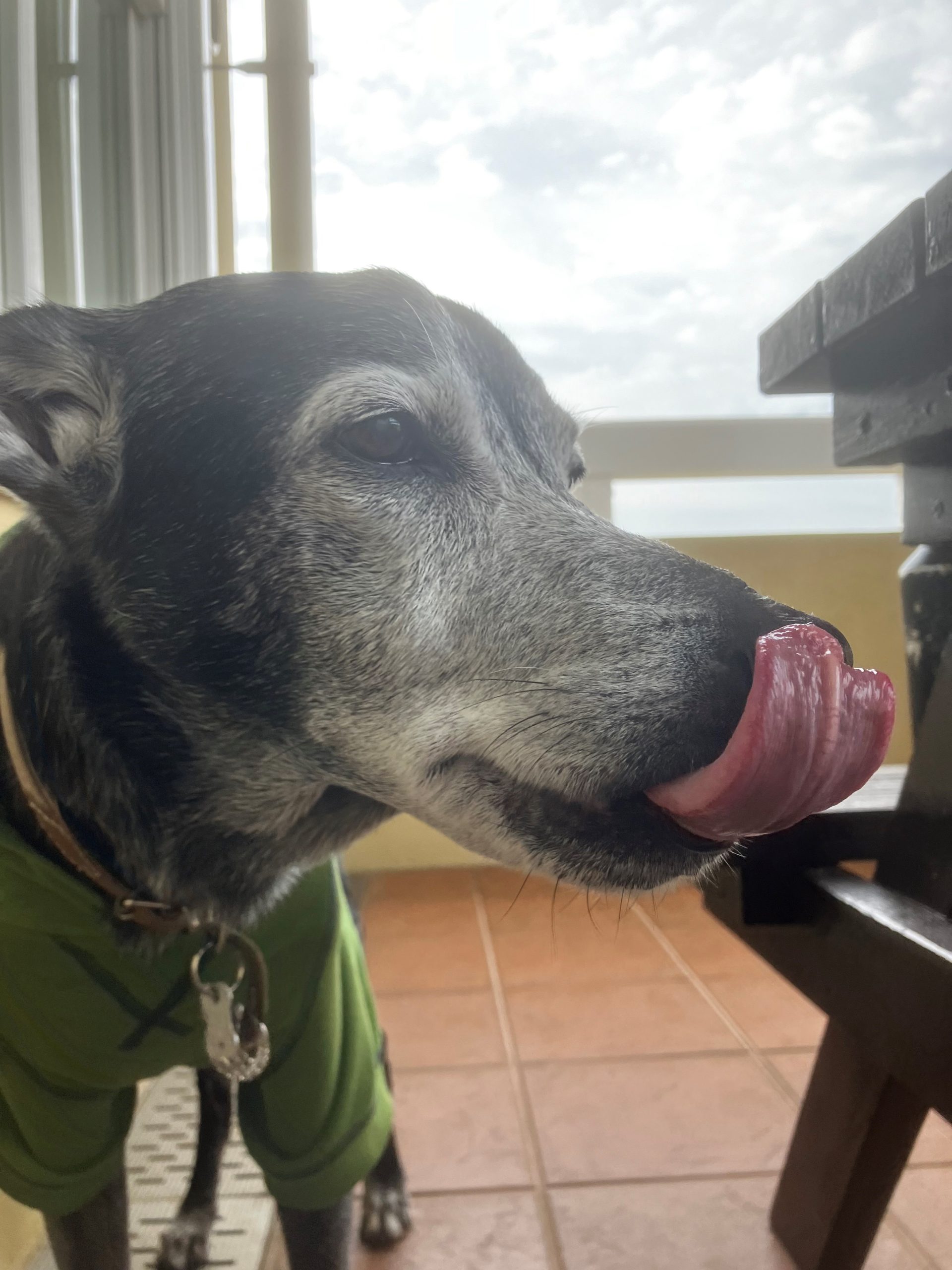 コロナくん♂ コロナくん♂