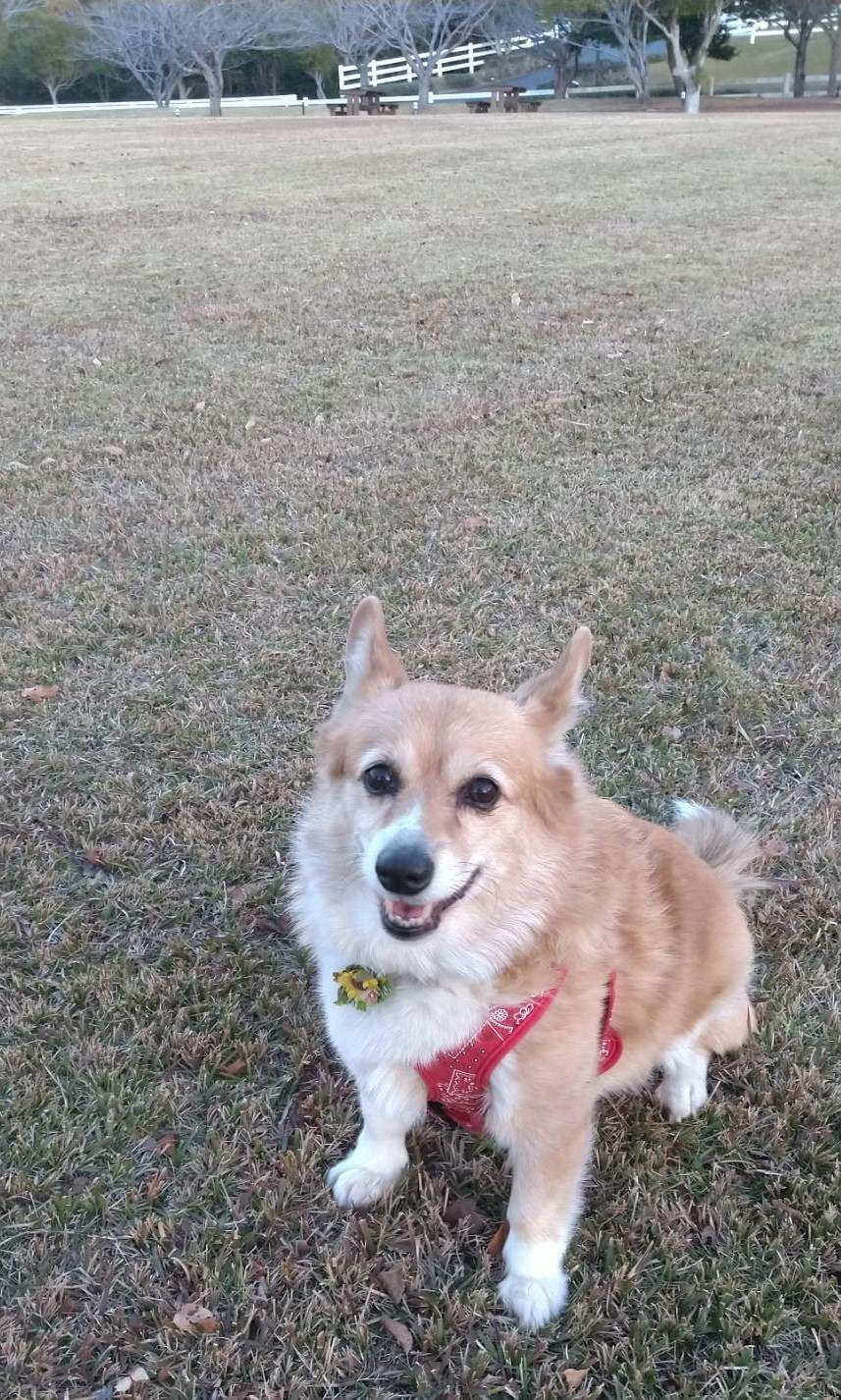 風子ちゃん♀ 風子ちゃん♀