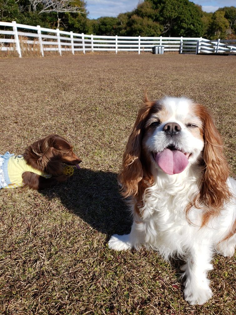 MAXくん♂ MAXくん♂