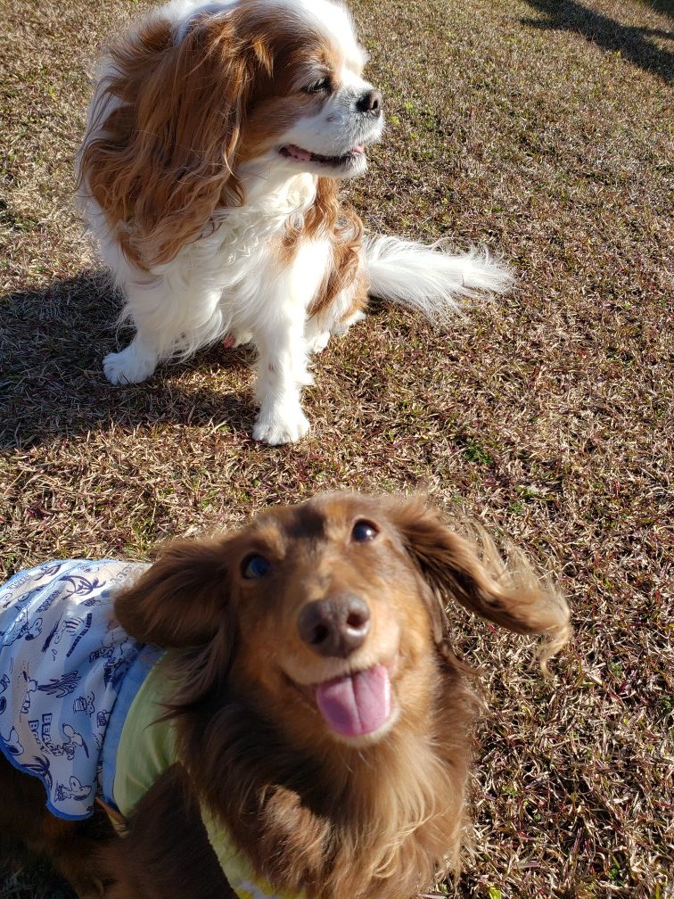 Tiaraちゃん♀ Tiaraちゃん♀