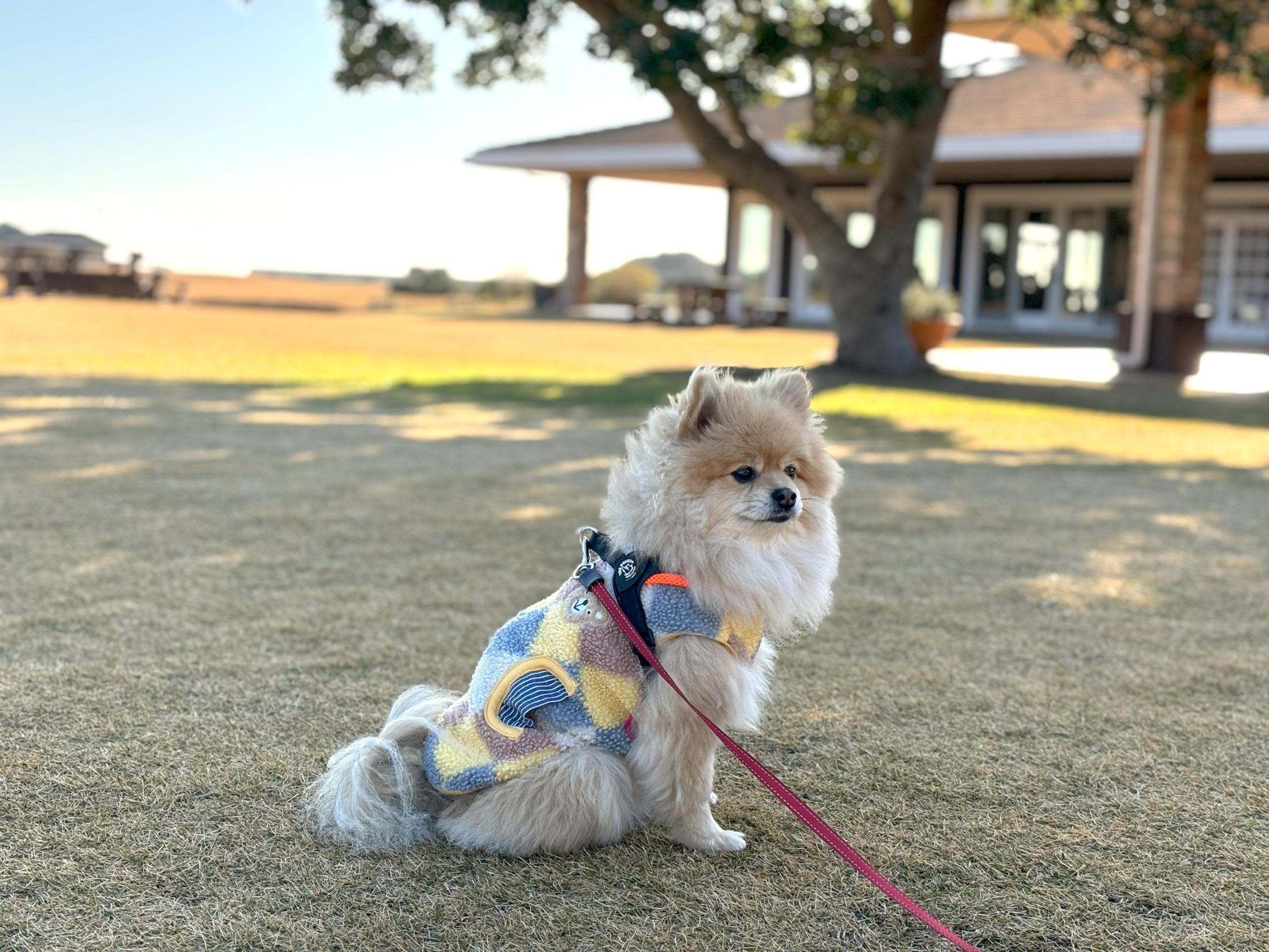 くるみちゃん♀