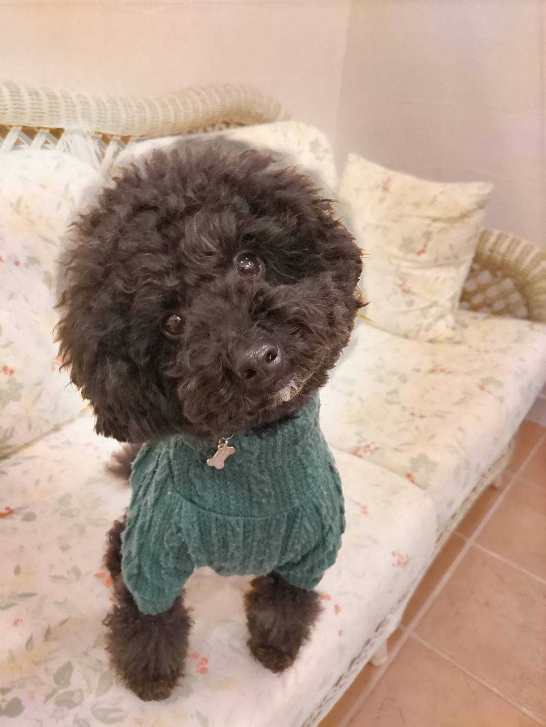 ロージーくん♂