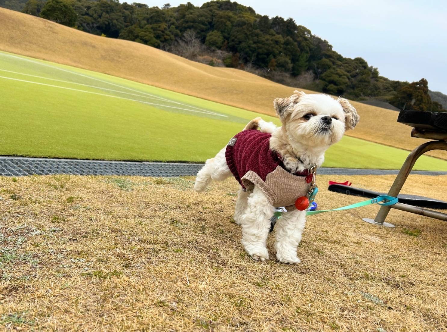 なつちゃん ♀ なつちゃん ♀