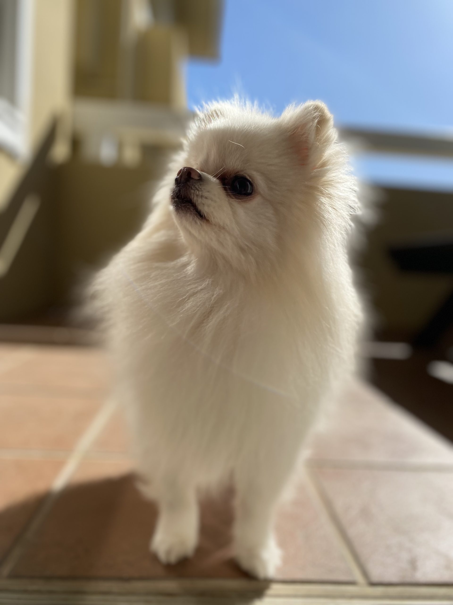 ななちゃん♀ ななちゃん♀