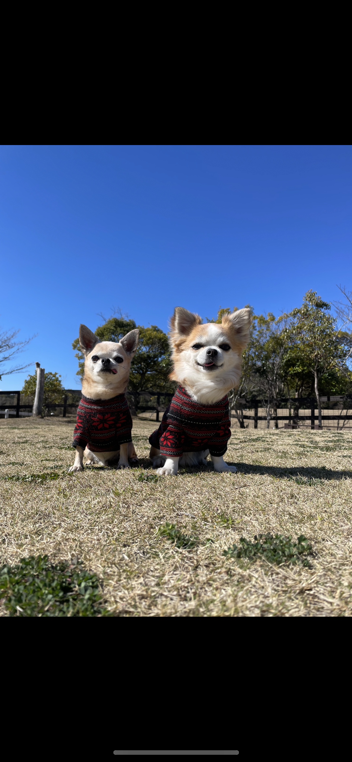 ロンくん & ガチャピンくん ロンくん & ガチャピンくん
