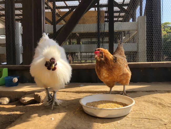 ～　本日のもぐもぐタイム　～