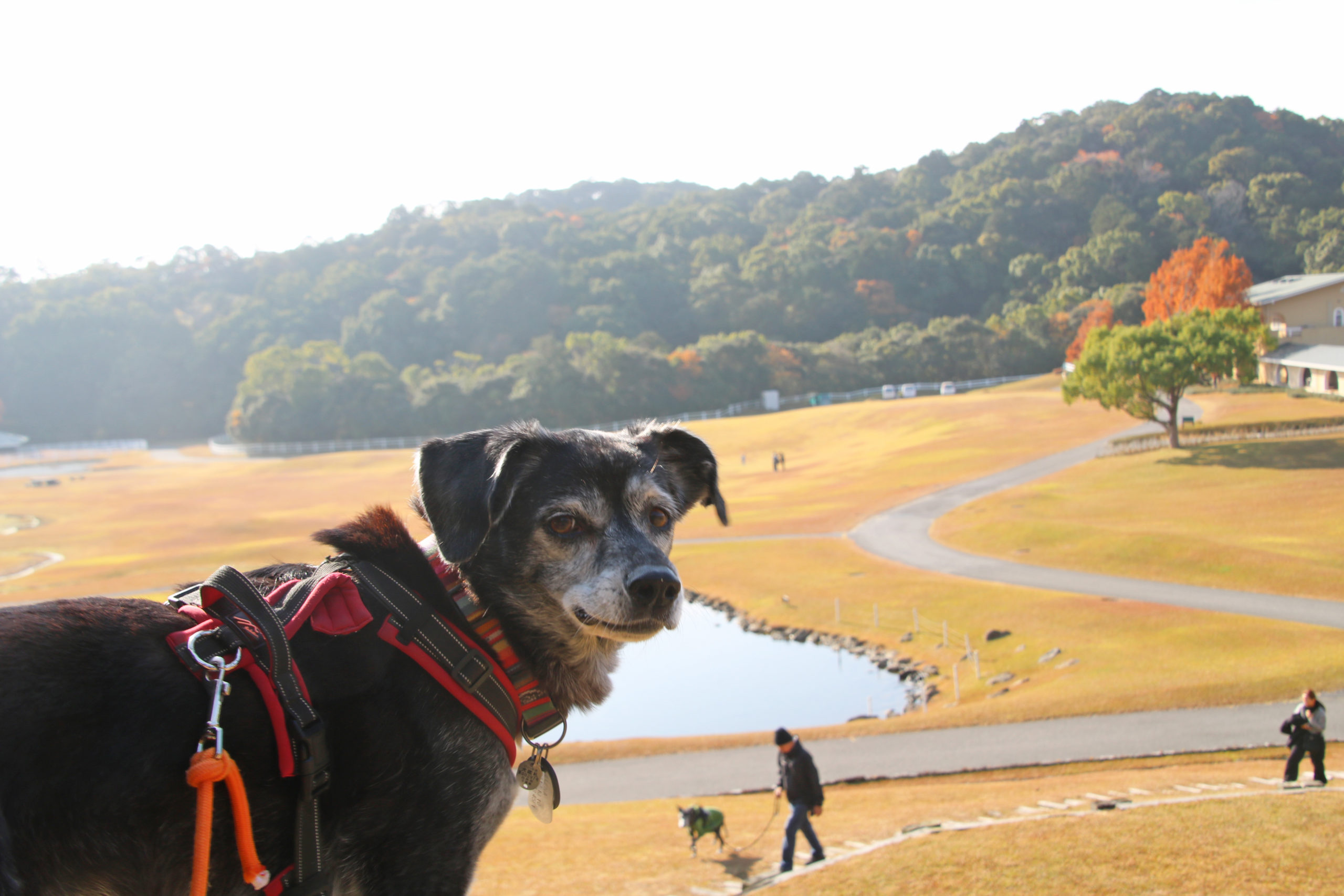 エレナちゃん♀ エレナちゃん♀
