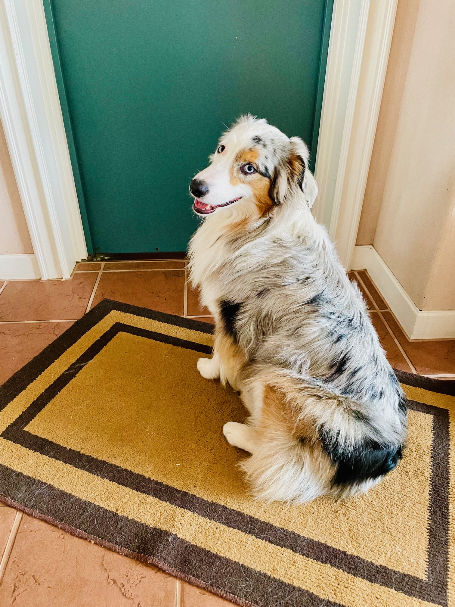 Floraちゃん♀ Floraちゃん♀