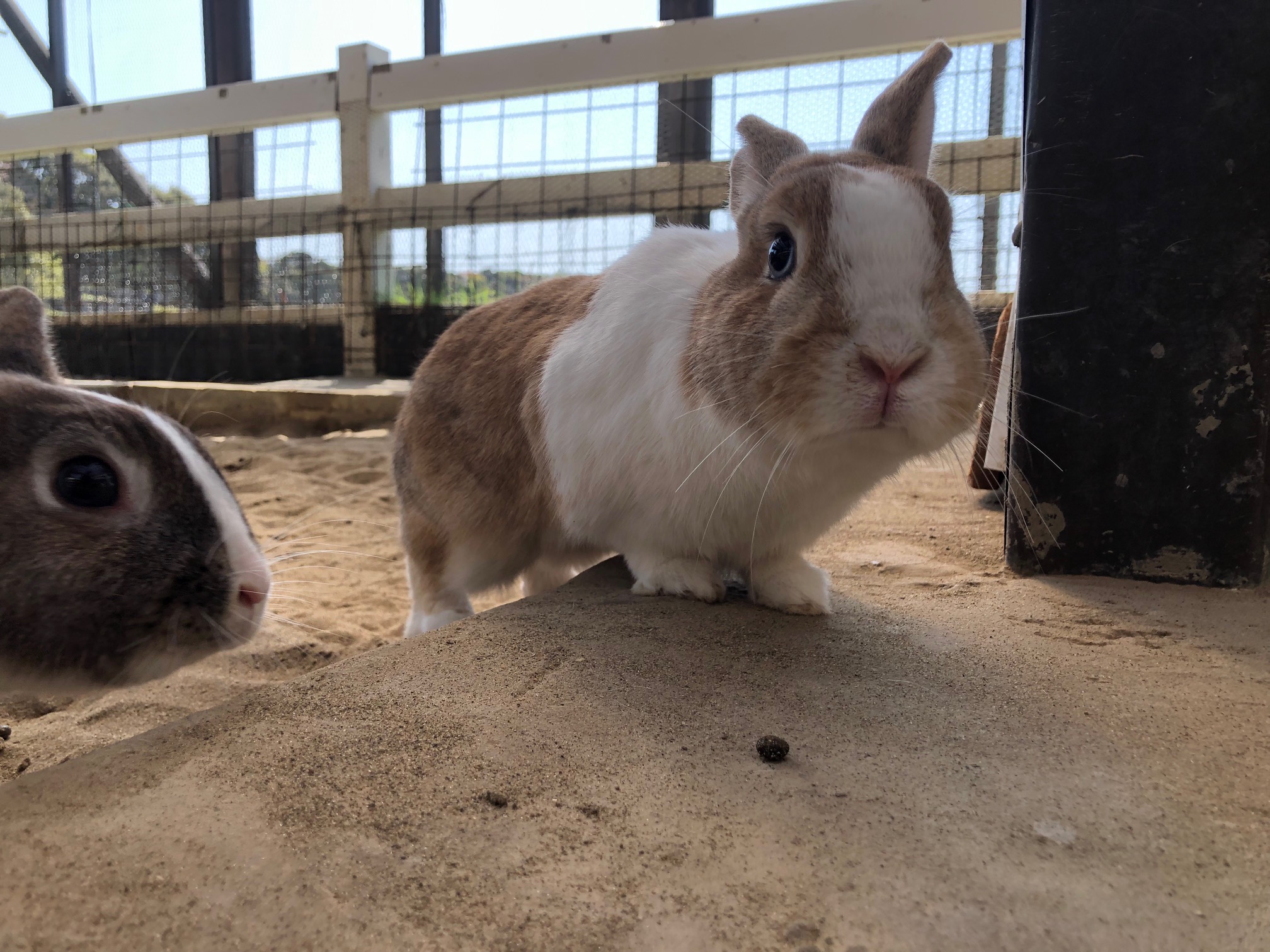 ～　本日のもぐもぐタイム　～