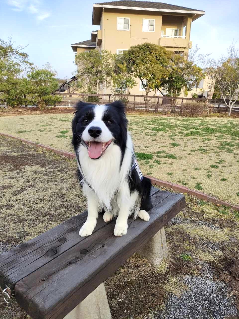 オレオくん ♂ オレオくん ♂