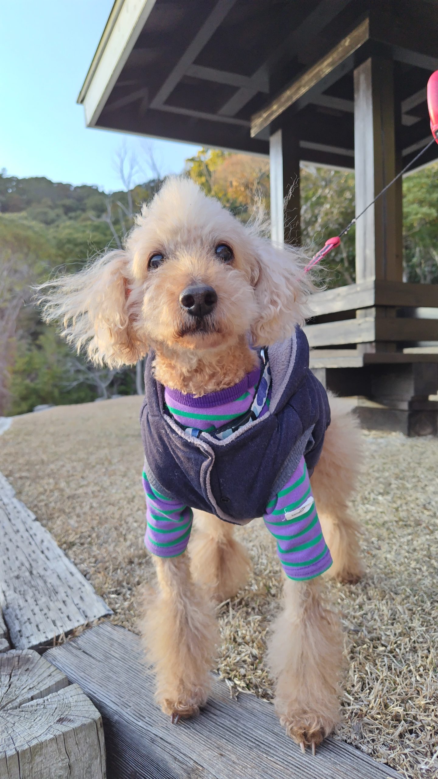 サトくん ♂ サトくん ♂