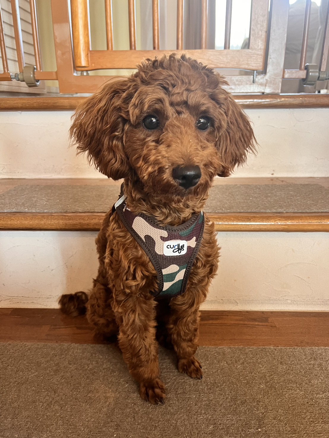 くまくん ♂ くまくん ♂