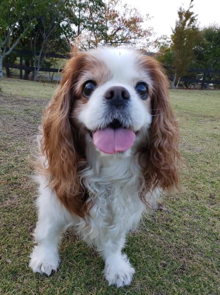 MAXくん ♂ MAXくん ♂