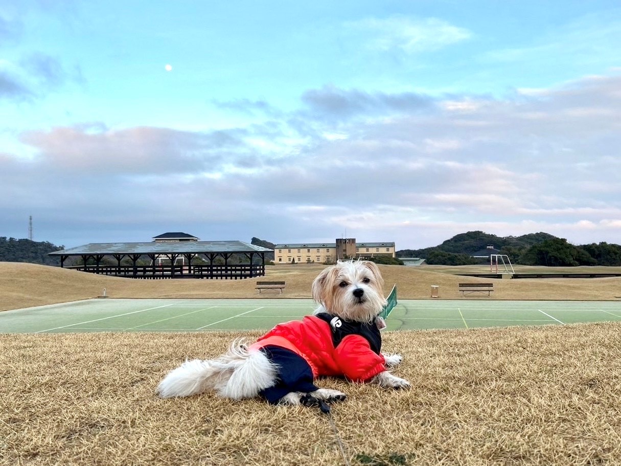 つむぎくん ♂ つむぎくん ♂