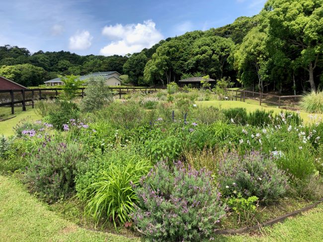 ～　ハーブガーデンより　～