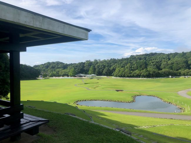 ～　展望台からの眺め　～