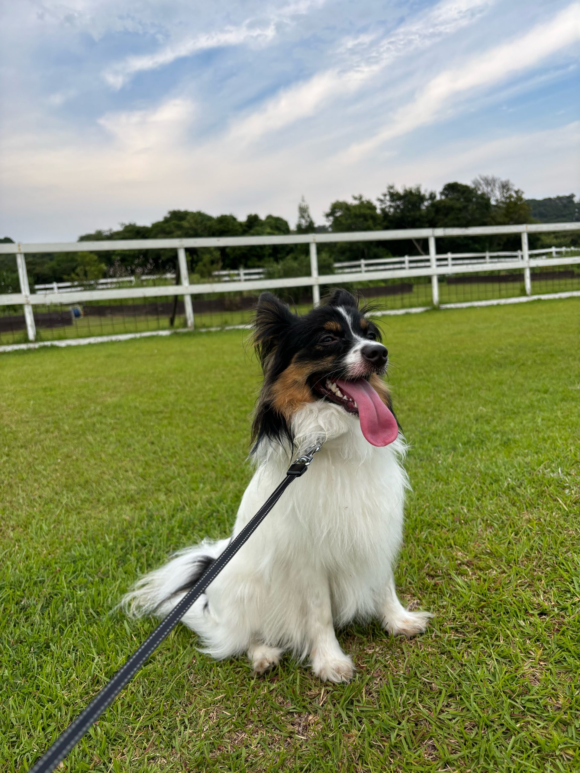 オレオくん♂ オレオくん♂