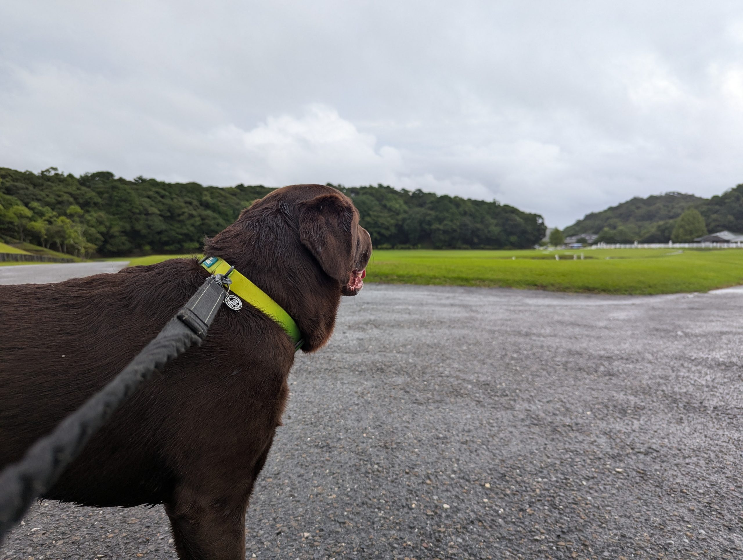 ももしおくん♂ ももしおくん♂