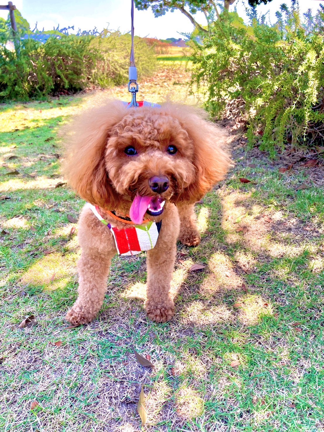 モカちゃん♀ モカちゃん♀