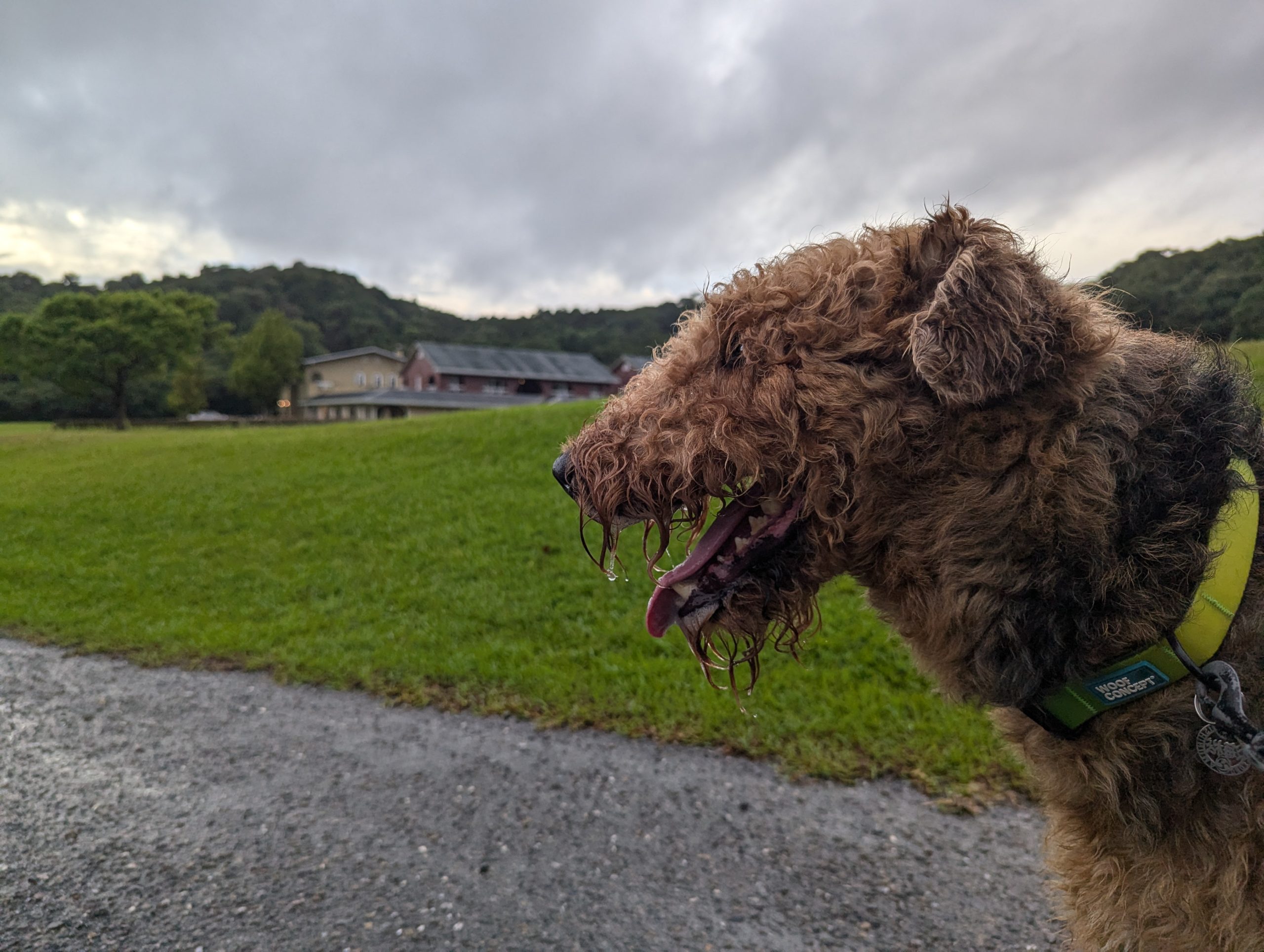 海松みるくん♂ 海松みるくん♂