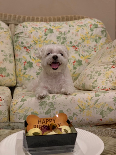 夢久くん♂ 夢久くん♂