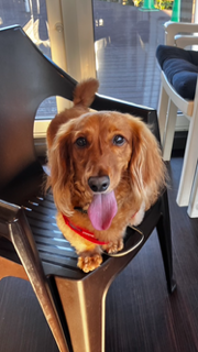 ティムくん♂ ティムくん♂