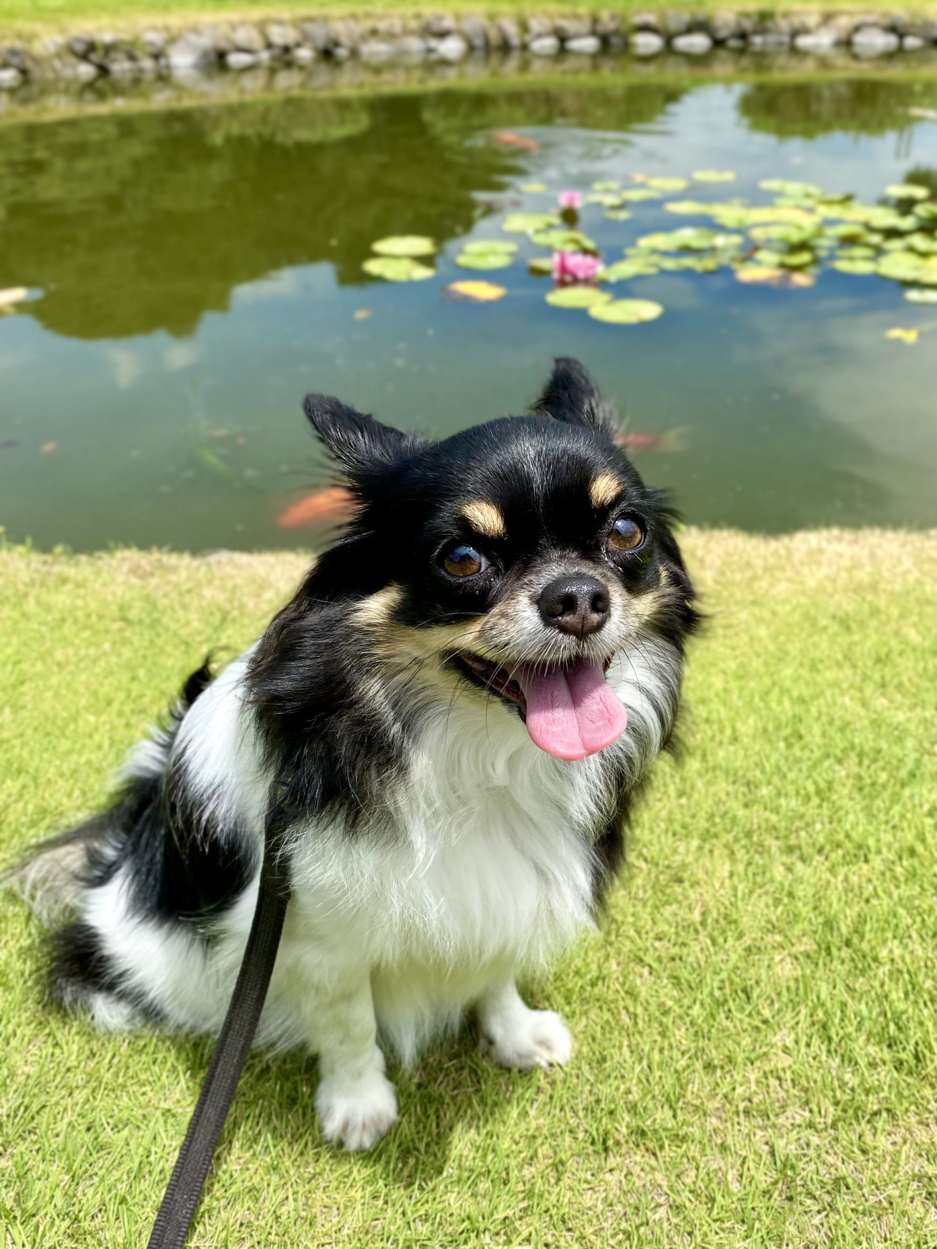 スーくん♂ スーくん♂