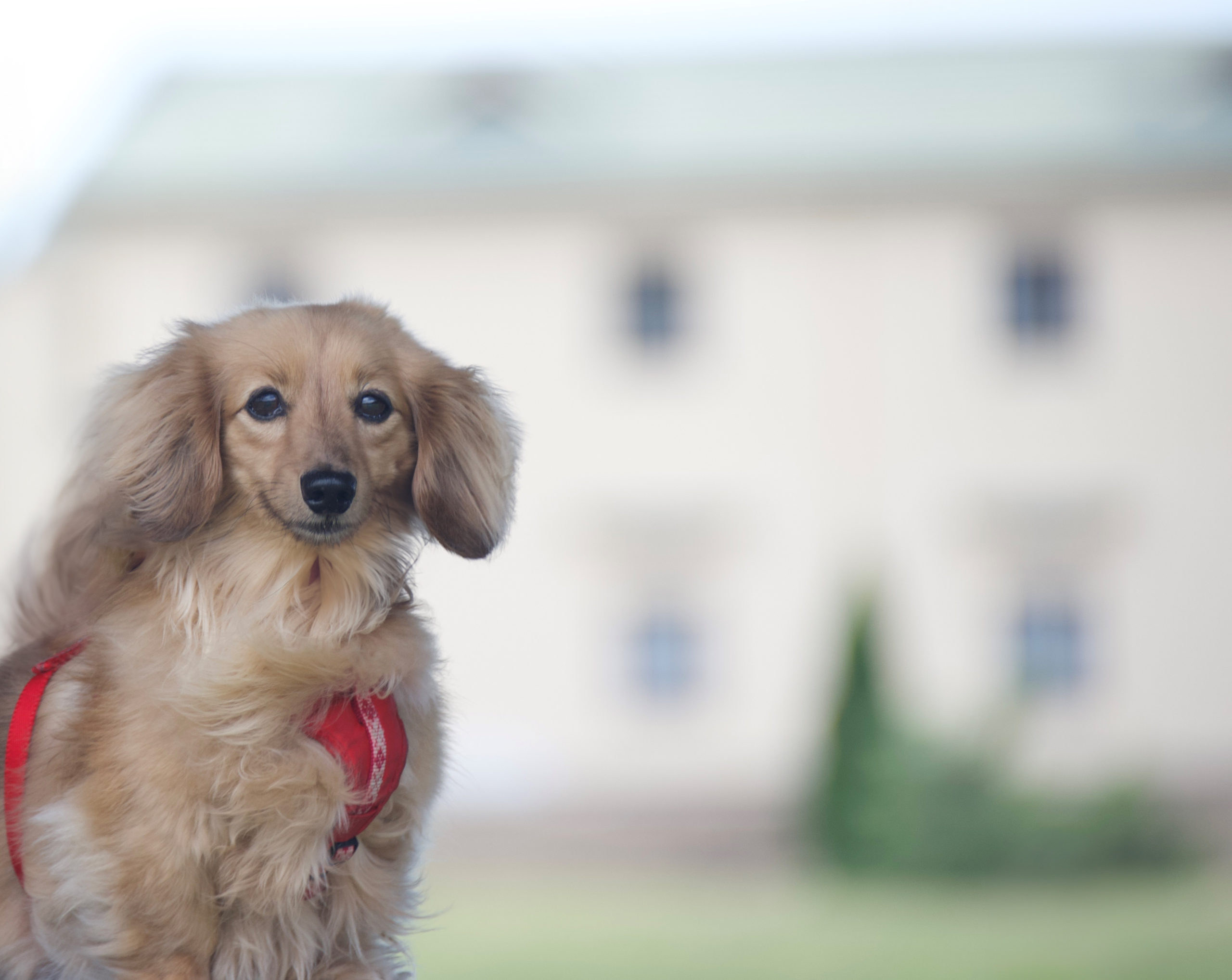 まめまるちゃん♀ まめまるちゃん♀