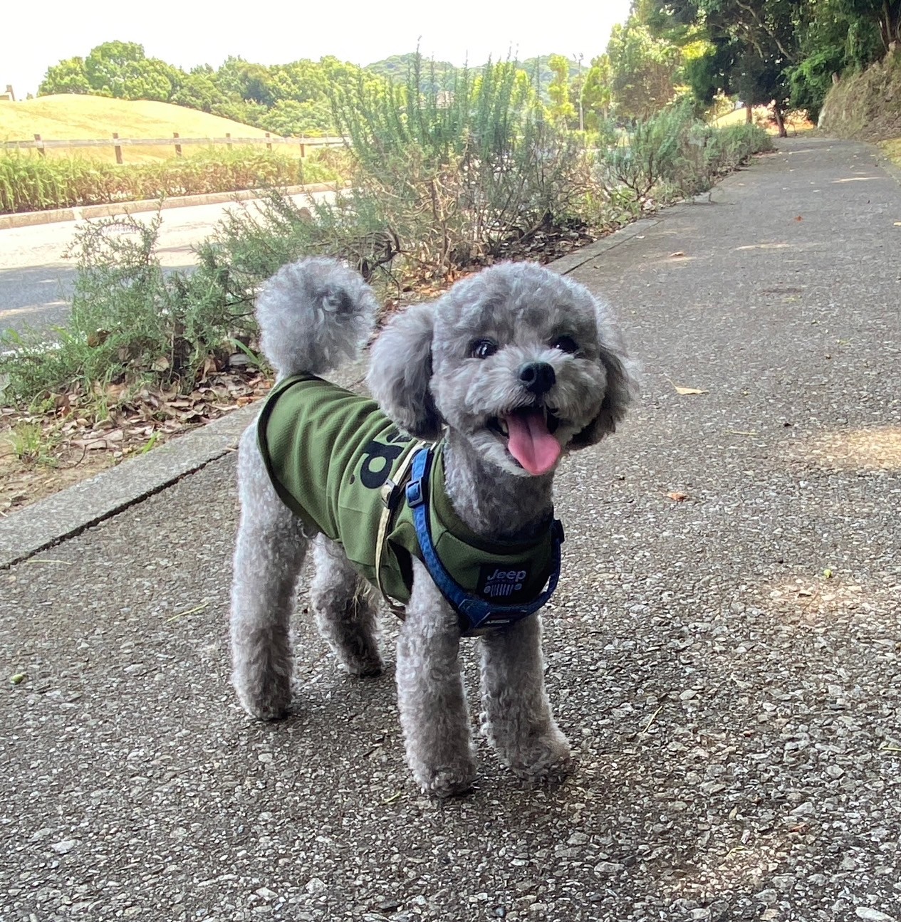 べべ君♂ べべ君♂