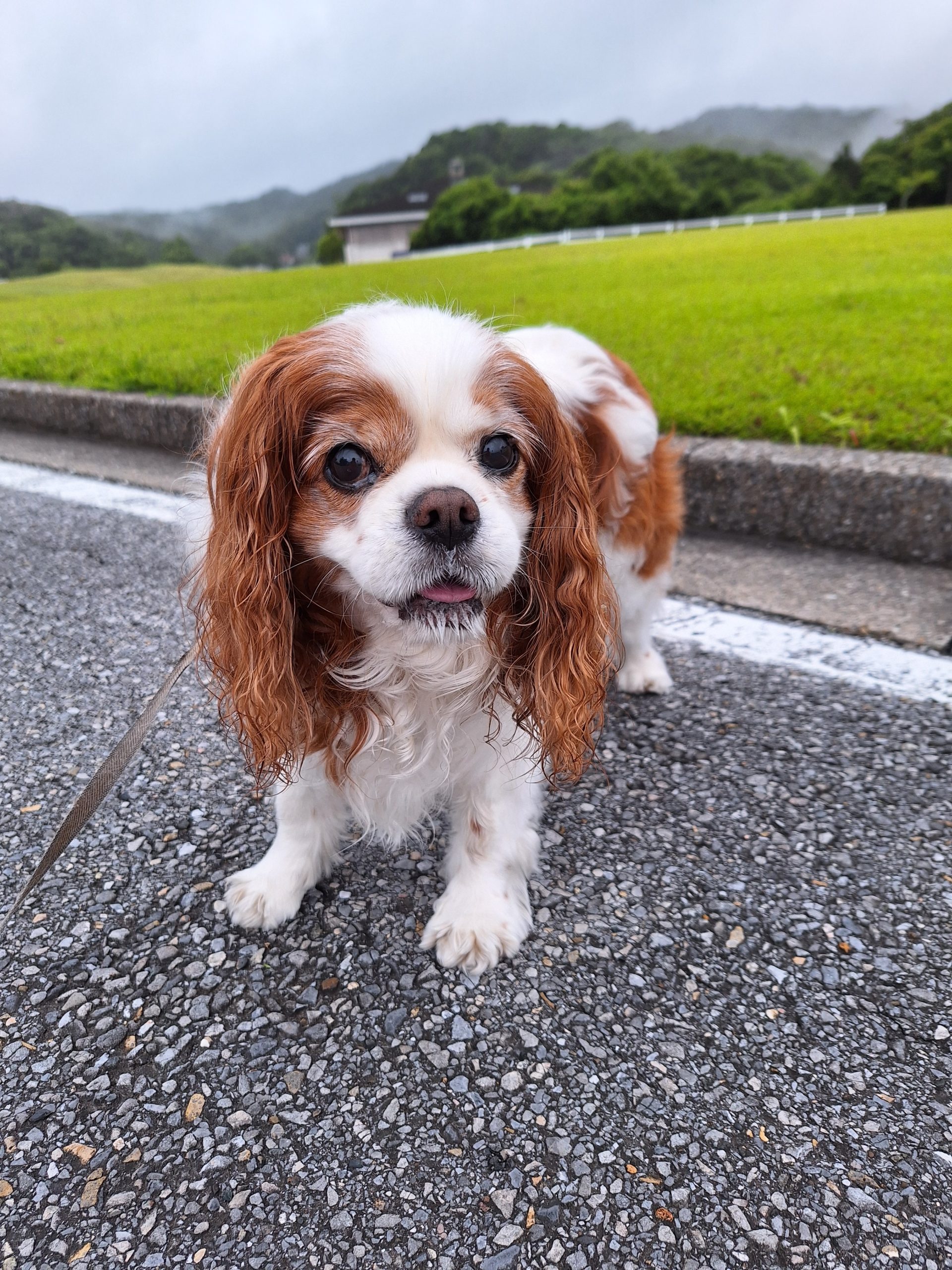 maxくん♂ maxくん♂