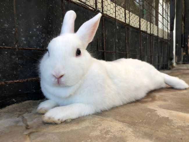 ～　９月１４日のウサギさん　～