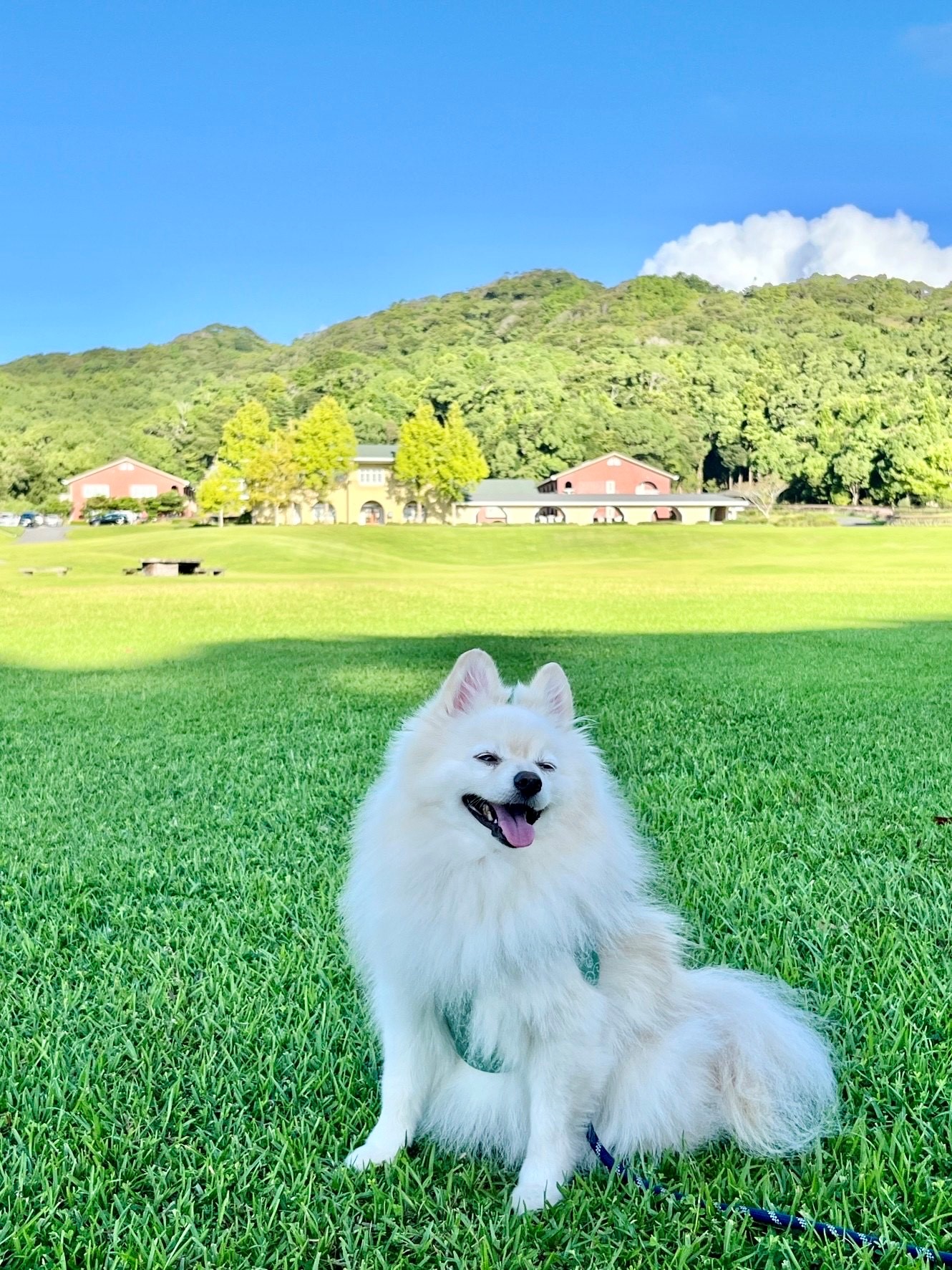 福くん♂ 福くん♂