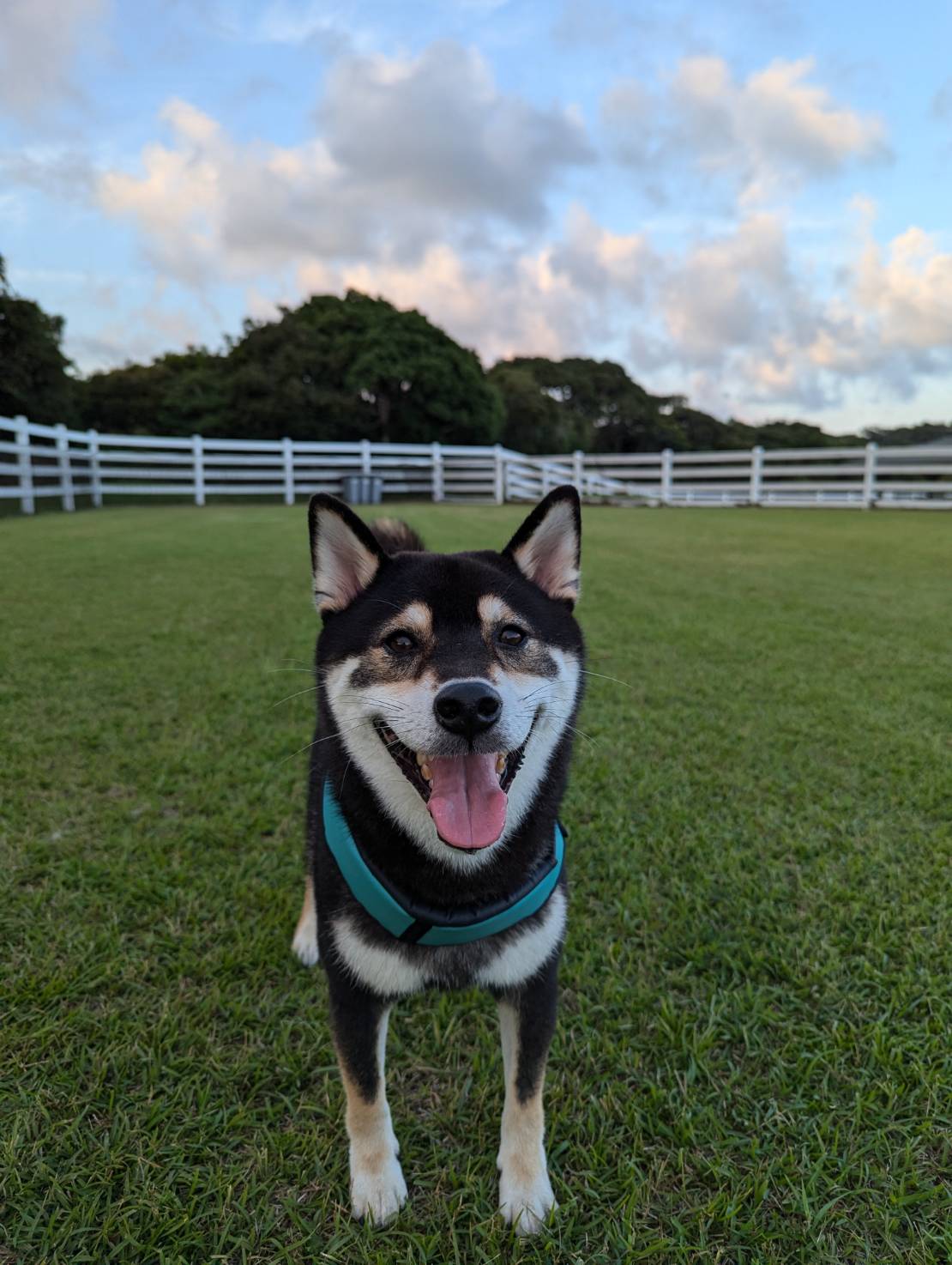 そらくん♂ そらくん♂