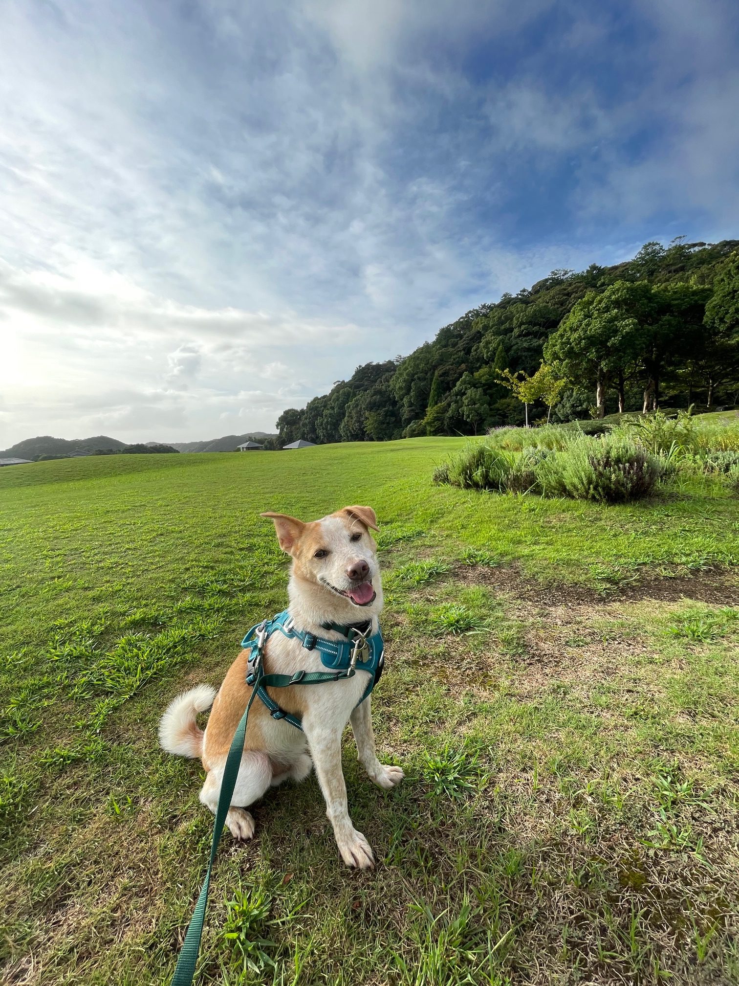 タカくん♂ タカくん♂