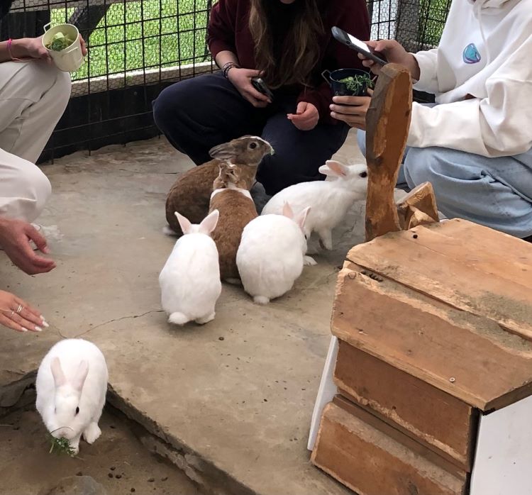 ～　皆さん、会いに来てください！　～