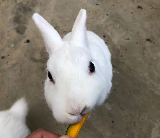 ～　皆さん、会いに来てください！　～