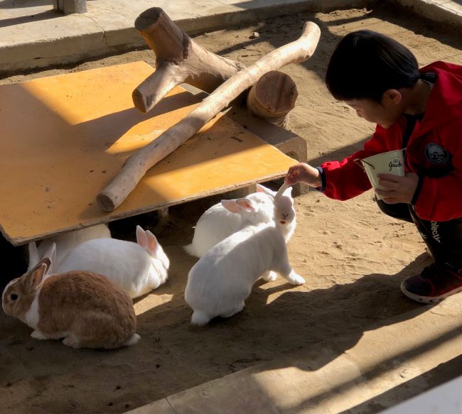 ～　11月3日（日）　ウサギさんもぐもぐタイム　～