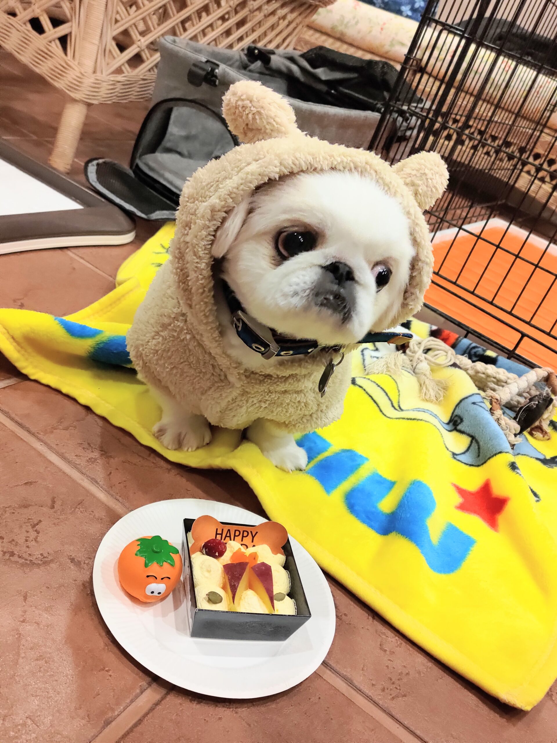 ココくん♂ ココくん♂