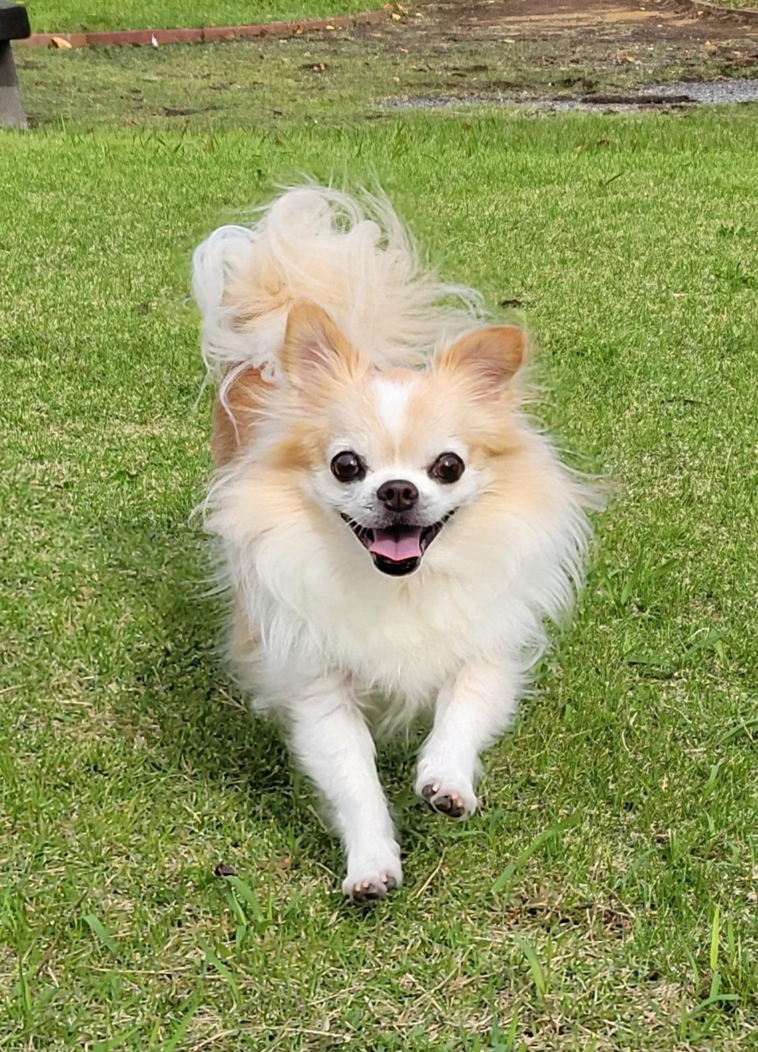 まろんくん♂ まろんくん♂