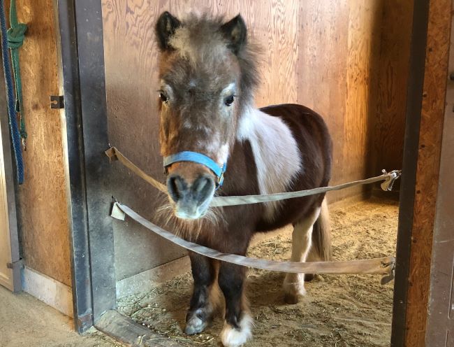 ~ KHTライディングスクエアより ~