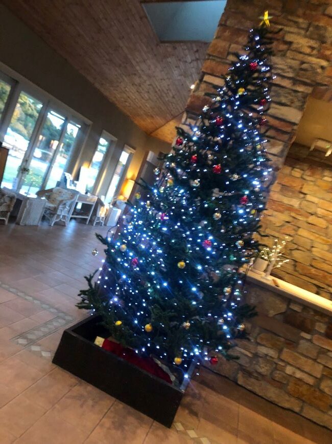 ～　センタープレイスのクリスマスツリー　～