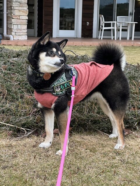 もずくちゃん♀