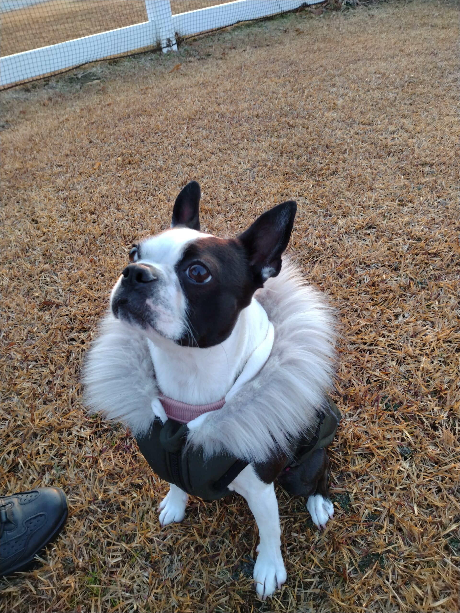 モアナちゃん♀ モアナちゃん♀