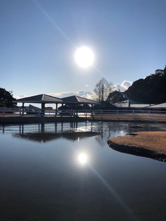 ～　屋外プール横の池より　～